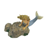 FG-TIDEPOOLMERMAID