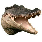3D Hanging Wall Mounted Crocodile or Alligator Skull Head Mount