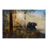 Black Bear LED Light Up Canvas Print