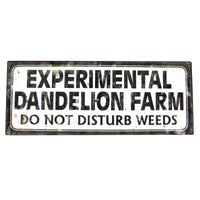 SN-TN0DANDELION