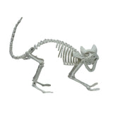 ZZ-SKELETONKITTY