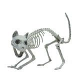 ZZ-SKELETONKITTY