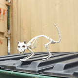 ZZ-SKELETONKITTY