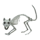 ZZ-SKELETONKITTY